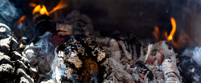 Creosote Removal Experts in San Carlos Park, FL