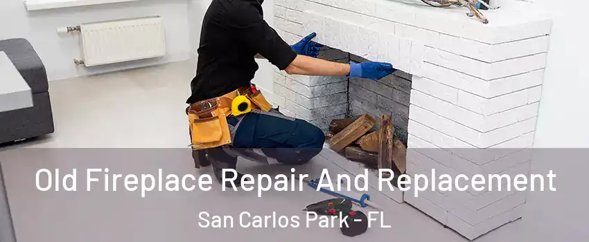 Old Fireplace Repair And Replacement San Carlos Park - FL