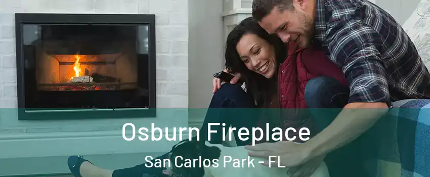  Osburn Fireplace San Carlos Park - FL