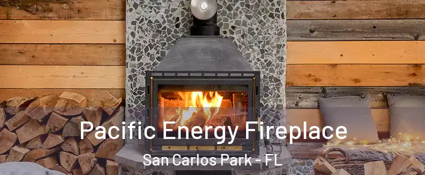 Pacific Energy Fireplace San Carlos Park - FL