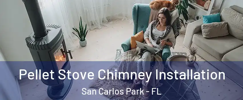 Pellet Stove Chimney Installation San Carlos Park - FL