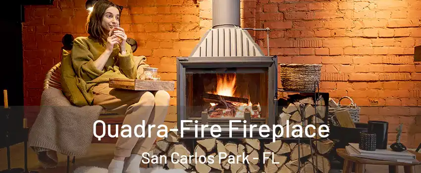  Quadra-Fire Fireplace San Carlos Park - FL