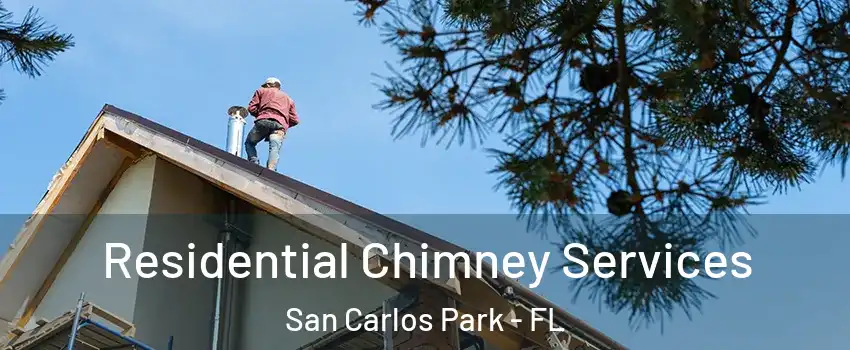 Residential Chimney Services San Carlos Park - FL