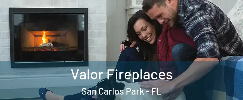  Valor Fireplaces San Carlos Park - FL